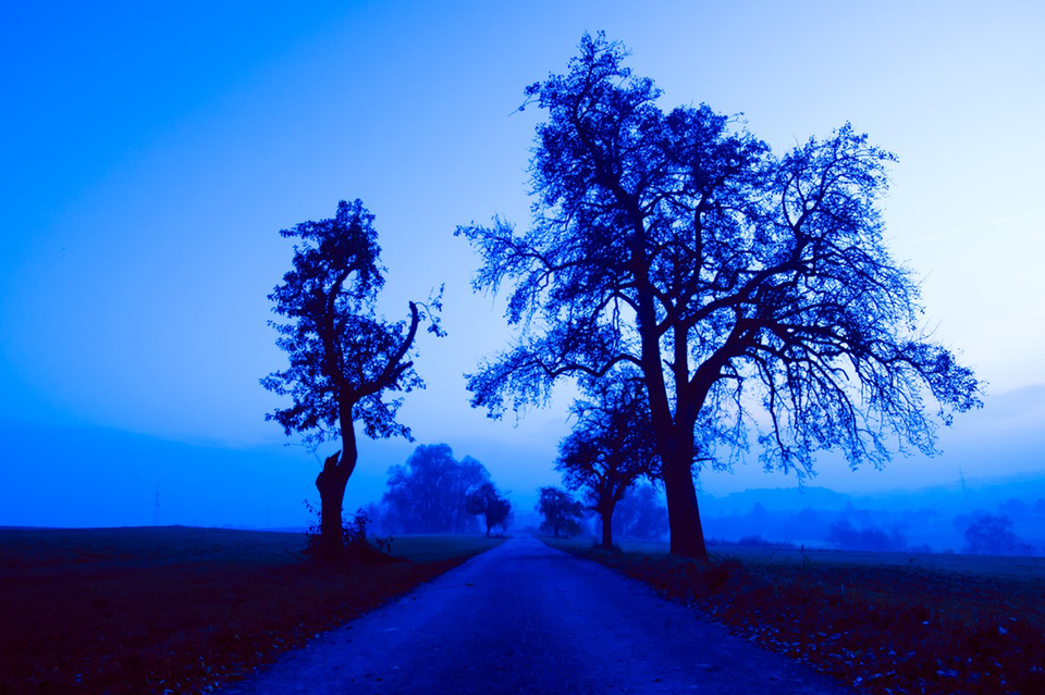 Blue Light - ID 000121