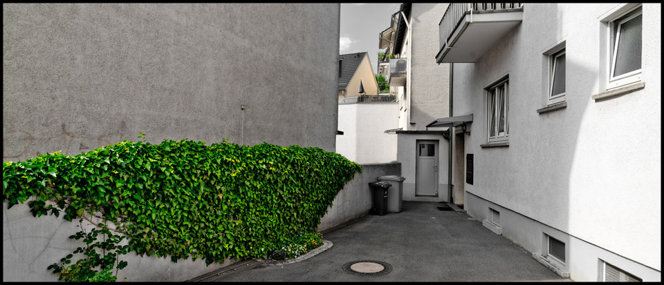 The Green Wall - ID 000210