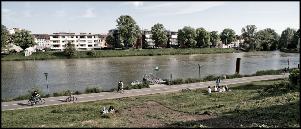 The Beech - ID 000215