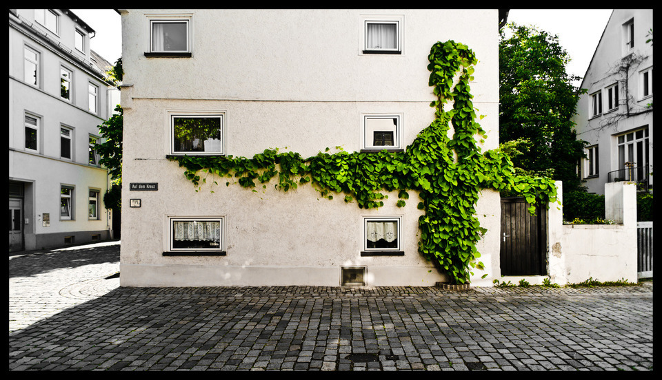 Green Cross - ID 000225