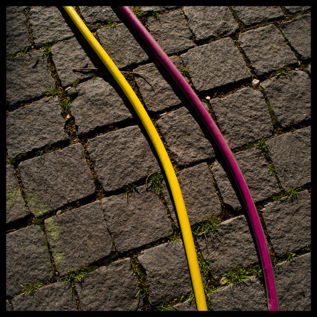 Separated - ID 000270