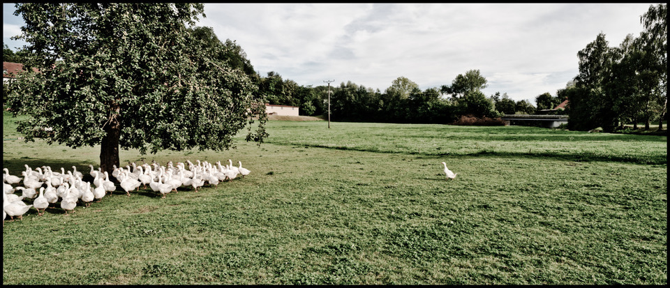 To Be Left Alone - ID 000349