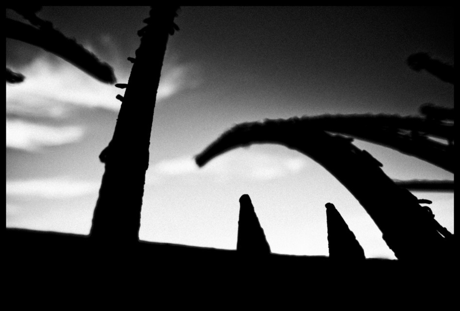 Fortress Oberer Kuhberg - ID 000363