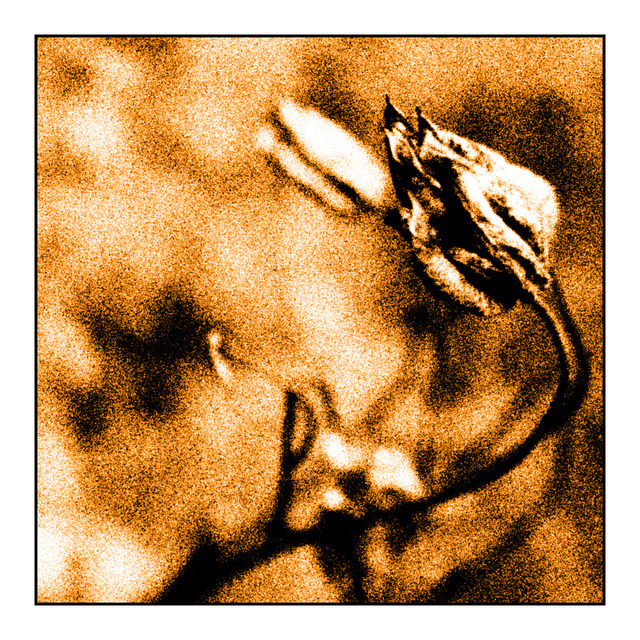 Sepia Flower I - ID 000485