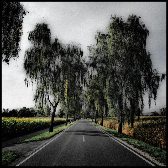 Alley II - ID 000625