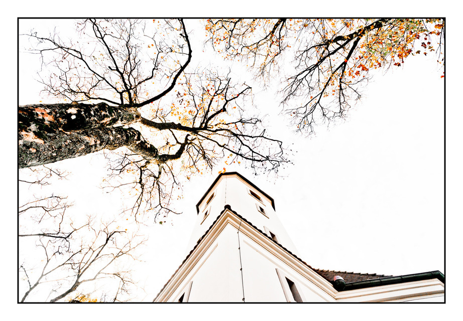 Tree and Church - ID 000626