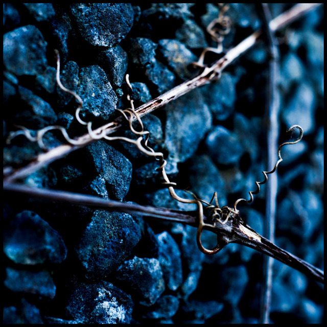 On The Wall III - ID 000643