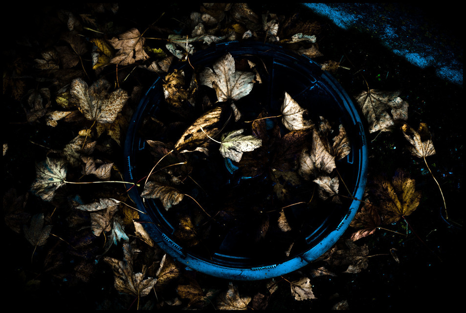 Hubcap filled with Leaves - ID 000648
