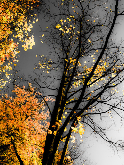 Grey Sky - ID 000652