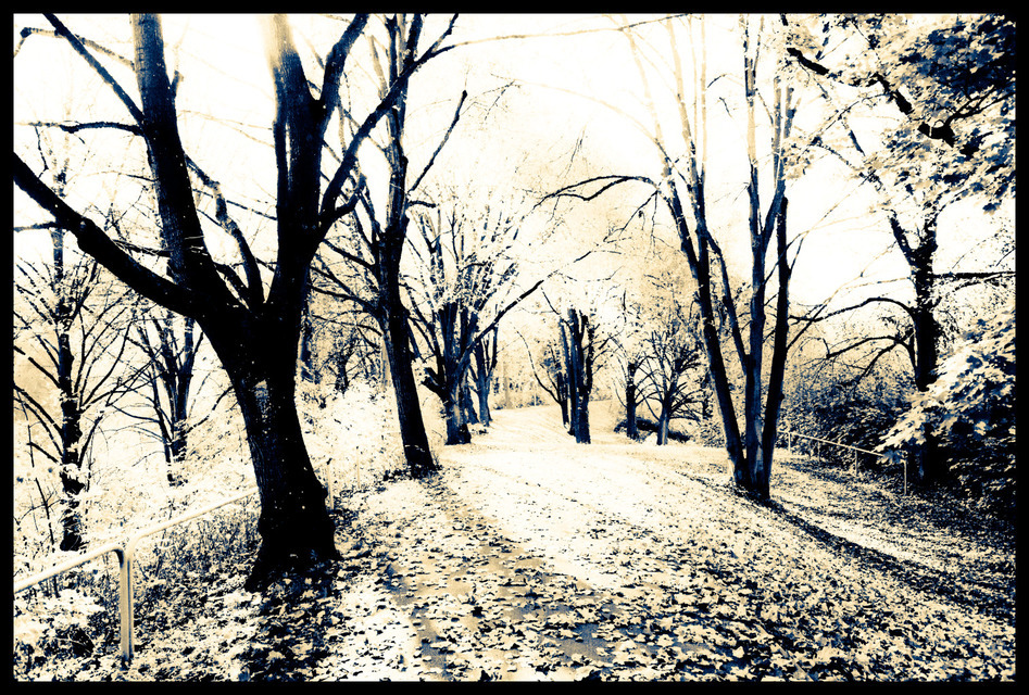 Wedding Lane III - ID 000674