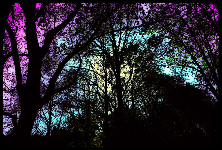 Colored Sky - ID 000675