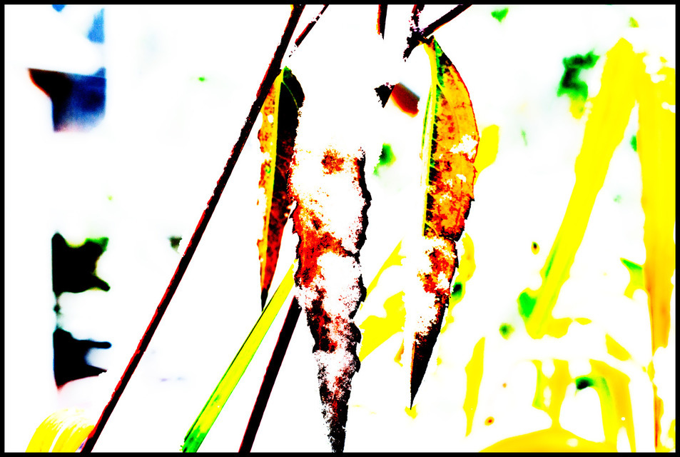 First Snow III - ID 000686