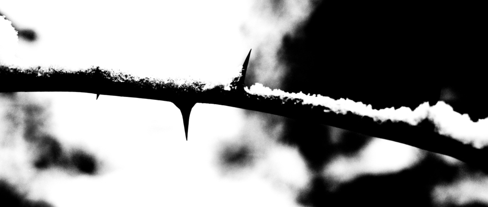 First Snow IX - ID 000692