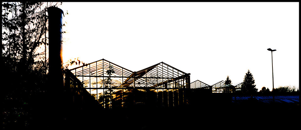 Glass Palace I - ID 000694