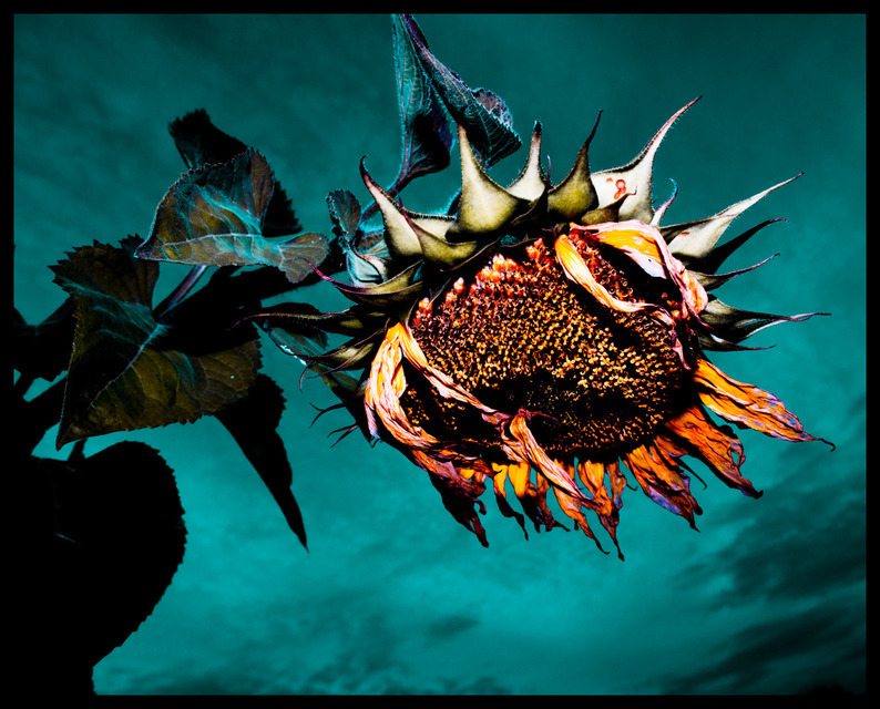 No more looking for the Sun - ID 000700