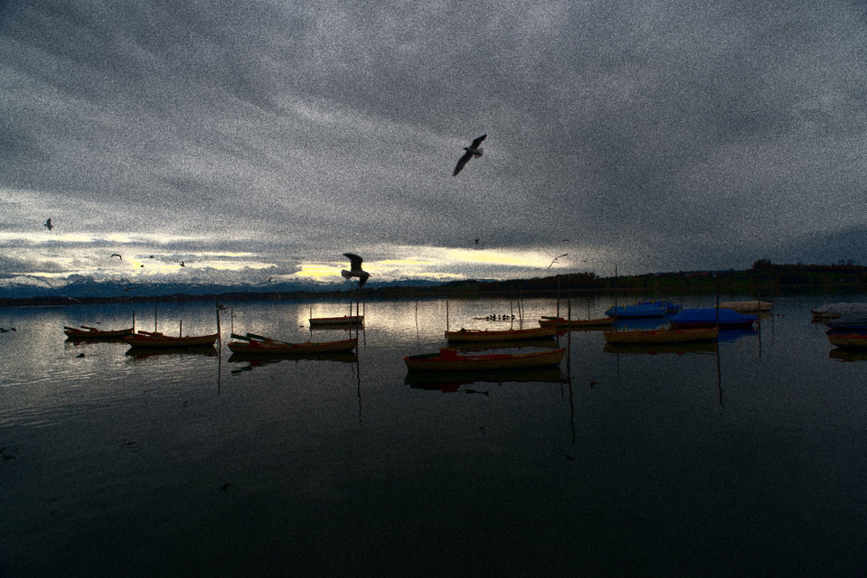 Birds over Lake I - ID 000710