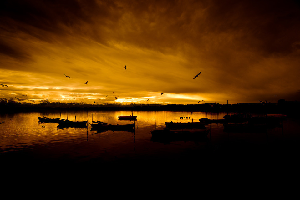 Birds over Lake II - ID 000711
