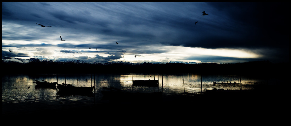 Birds over Lake III - ID 000712