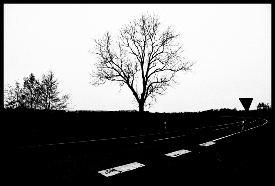 On the other Side - ID 000723