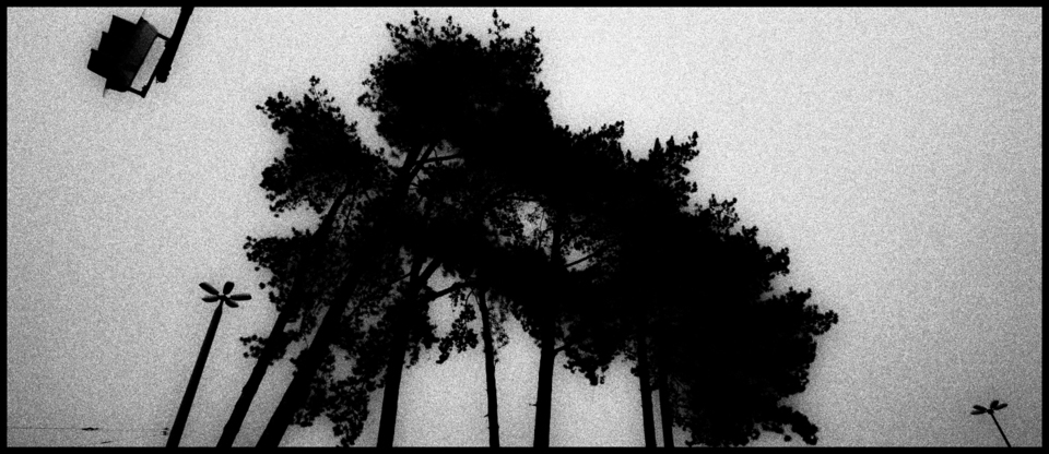 Grey Sky - ID 000731