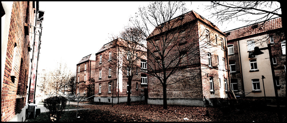 Backyard - ID 000741