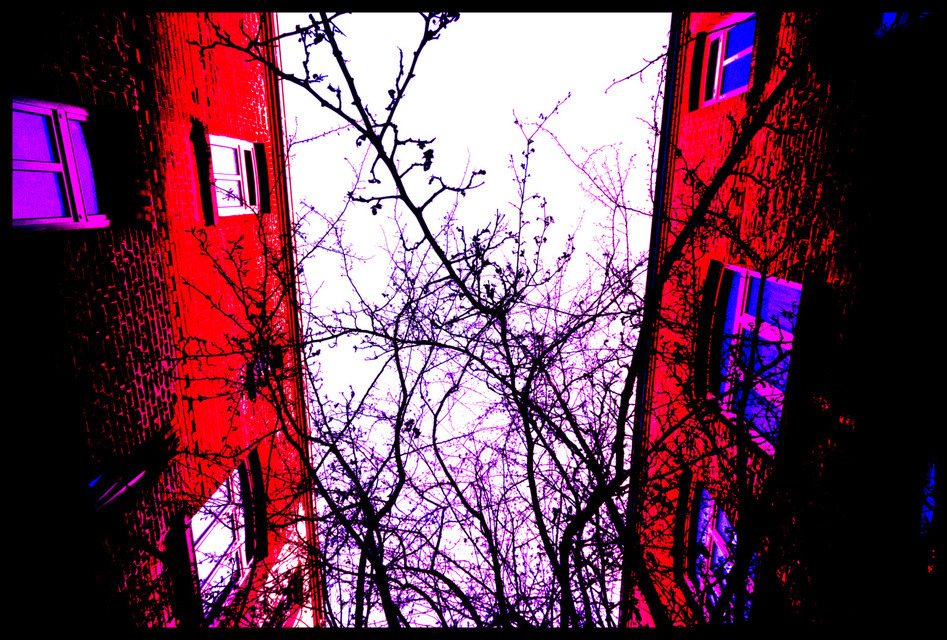 Between Red Walls II - ID 000744