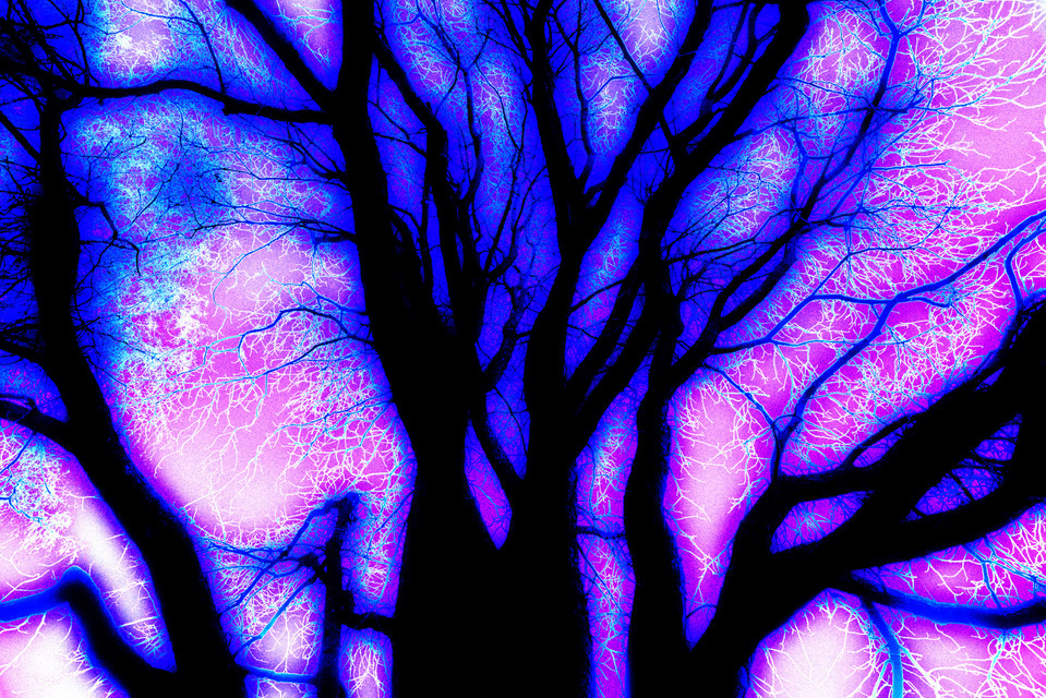 Electric - ID 000762