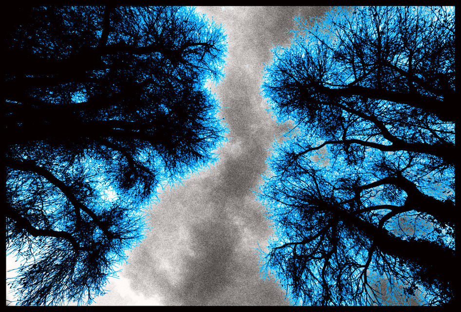 Brothers in Blue - ID 000766