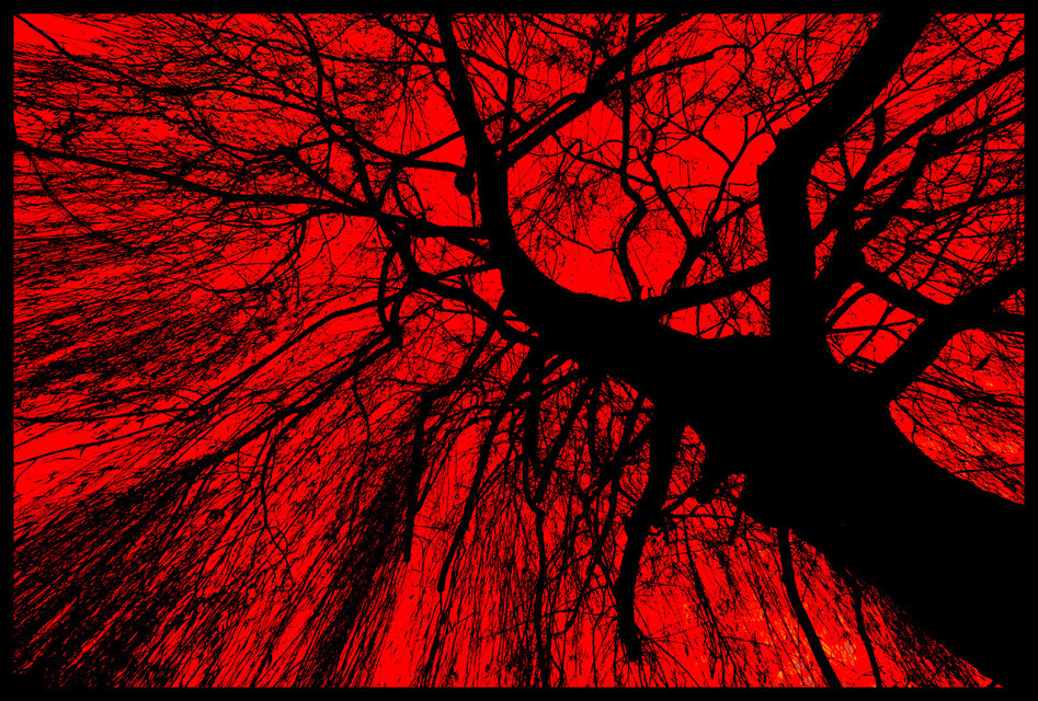 Black on Red - ID 000771