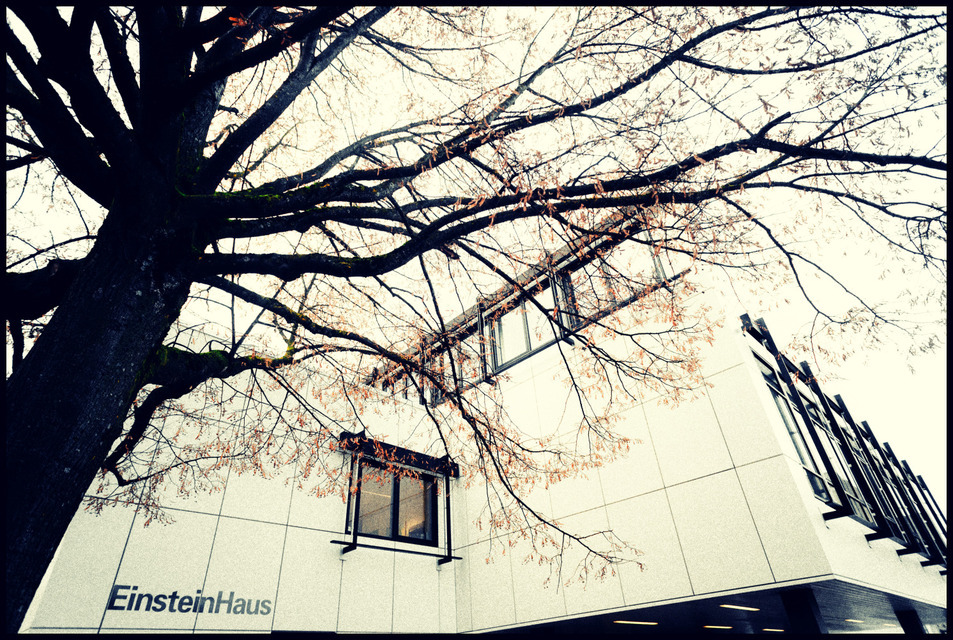 One Stone - ID 000795