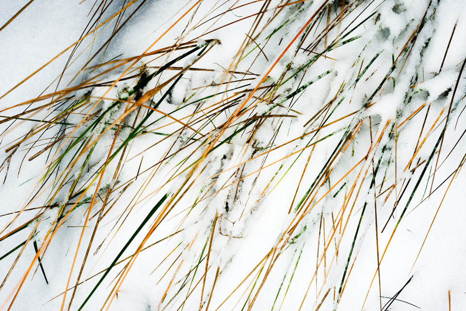 Green Yellow White - ID 000801