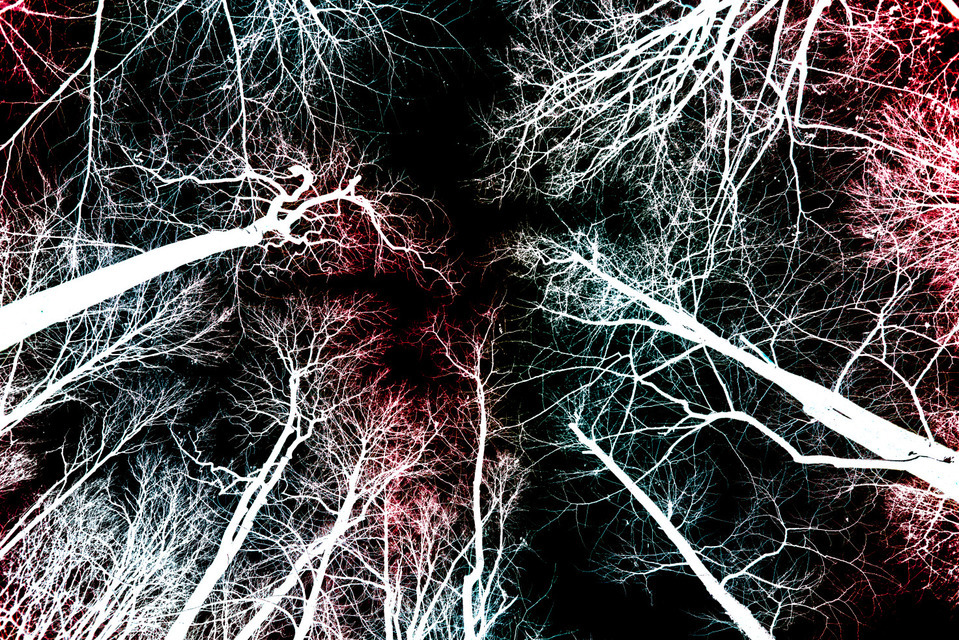 The Dark Skyview - ID 000812