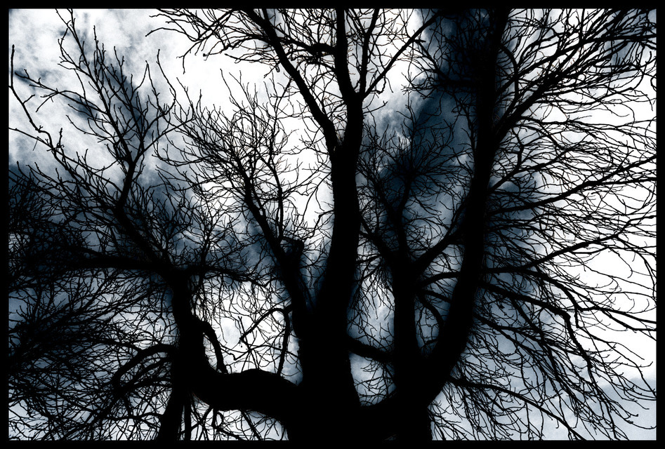 Black Witch - ID 000822