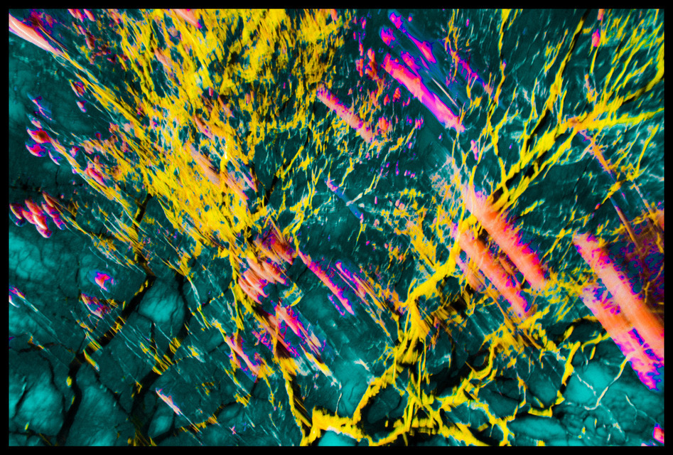 Rosehip III - ID 000861