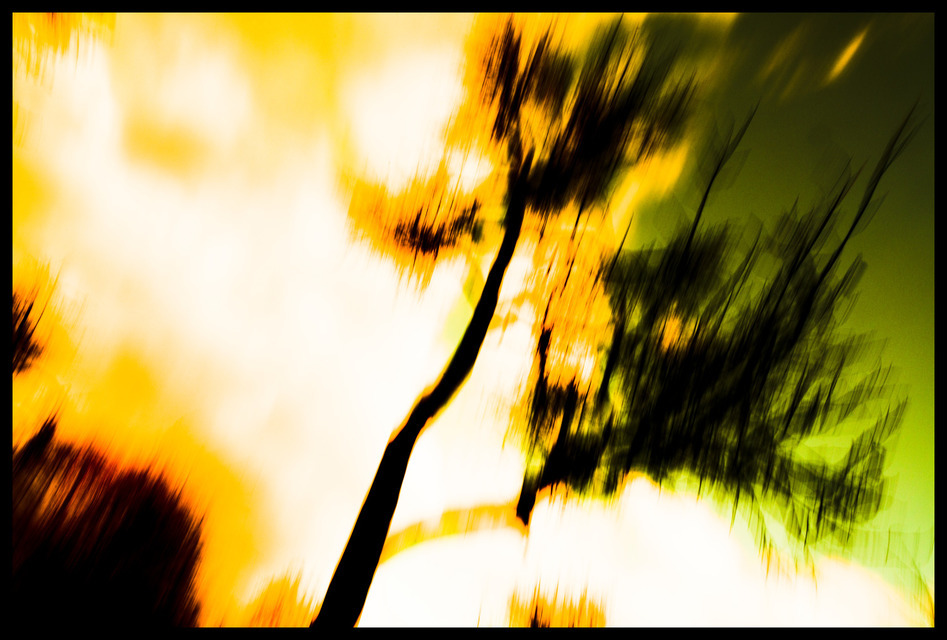 Tree with Arm - ID 000893