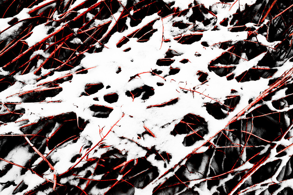 Red Field III - ID 000934