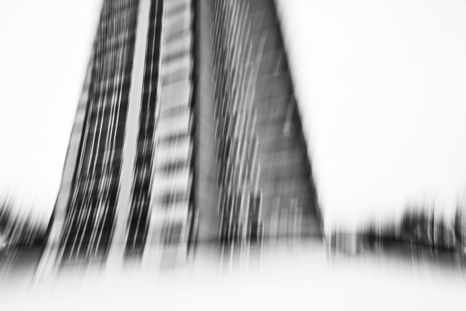 Movement II - ID 000961