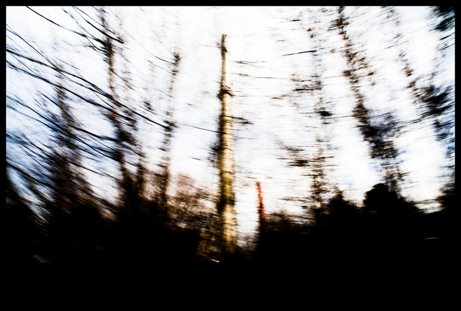 Smokestack behind Trees I - ID 000998