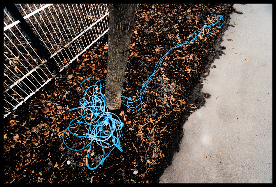 Blue Cord - ID 001005