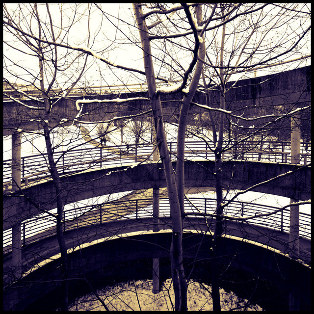 Tree and Ramp - ID 001030