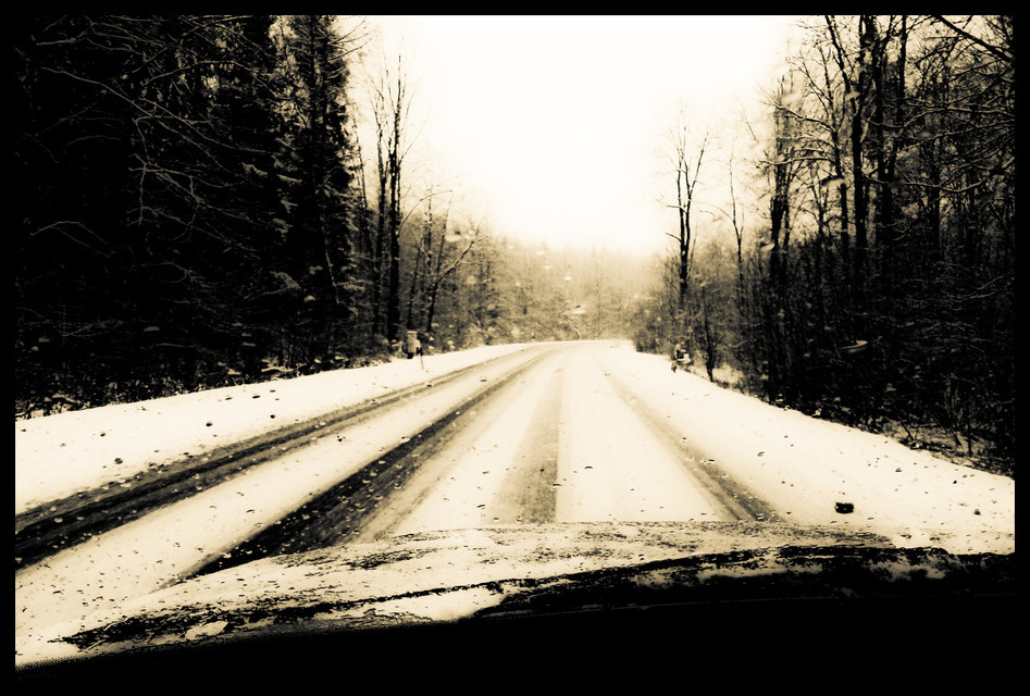 Winter Forest Drive I - ID 001054