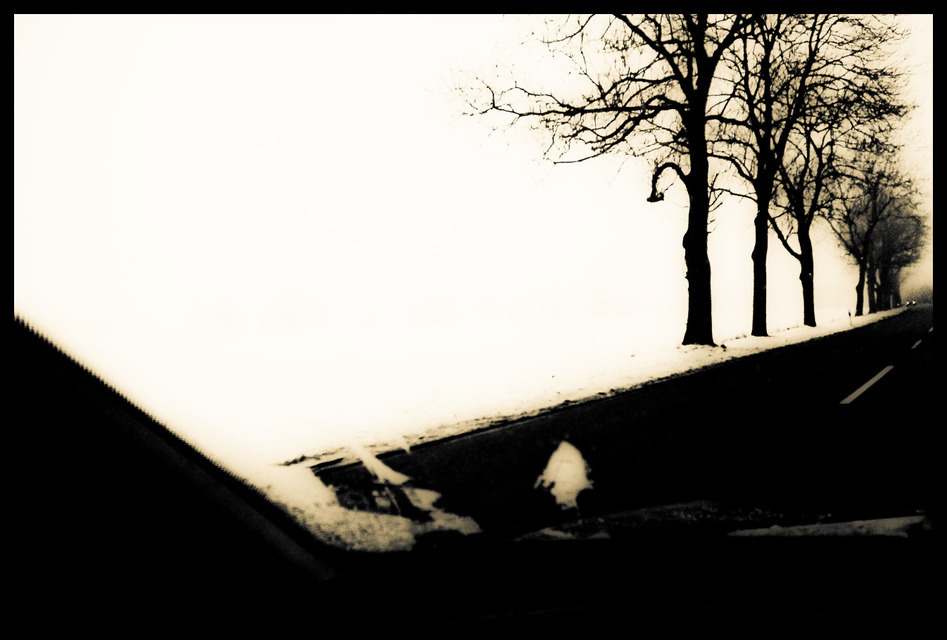 Winter Ride - ID 001065