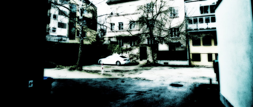 White Horse - ID 001119