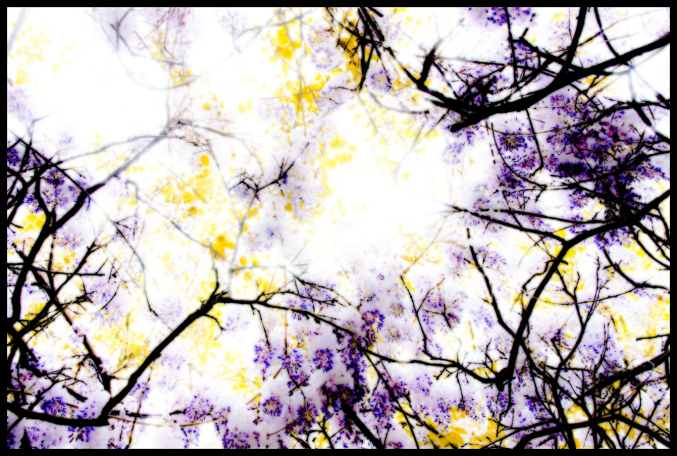 Heaven Wallpaper I - ID 001174