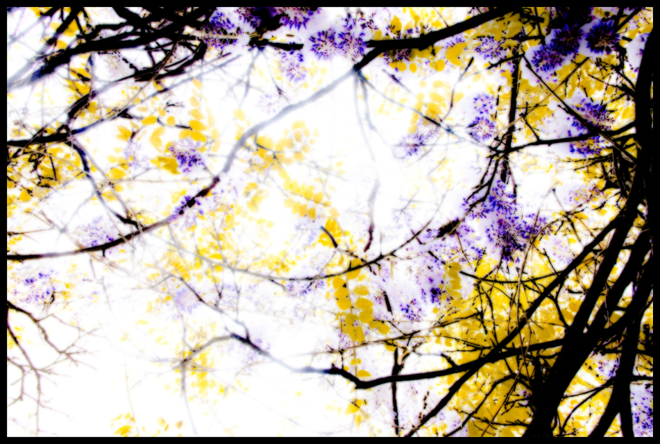 Heaven Wallpaper II - ID 001175