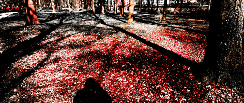 Blood Red - ID 001195