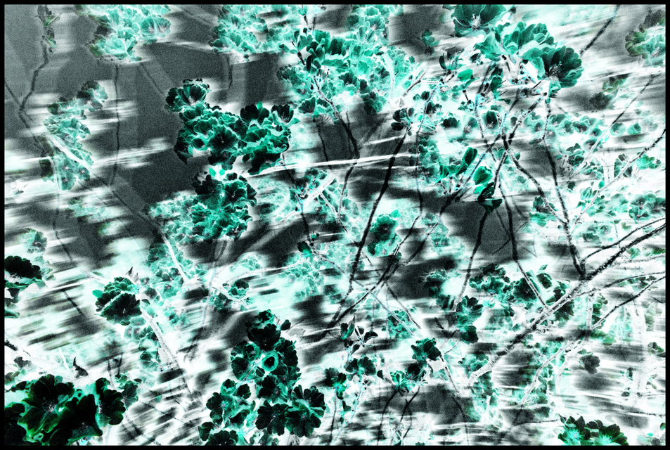 Abstract Tree - ID 001216