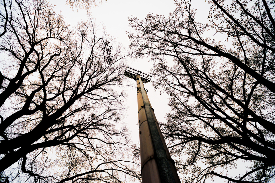 Steel Tree - ID 001224