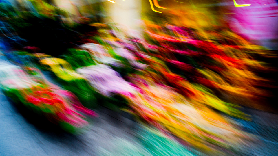 Weimar Flower Impressions - ID 001243