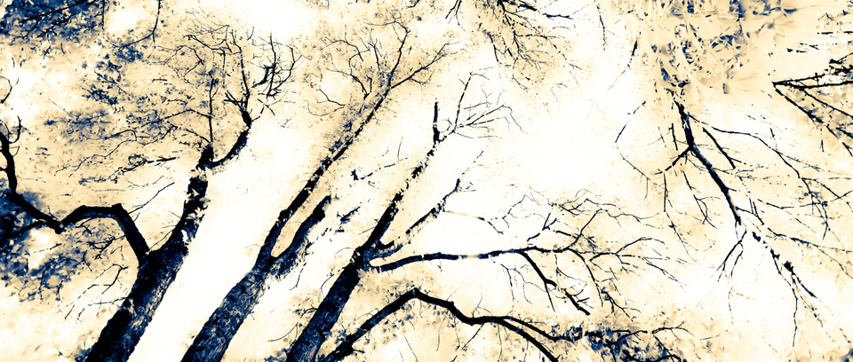 Tree Roof II - ID 001296